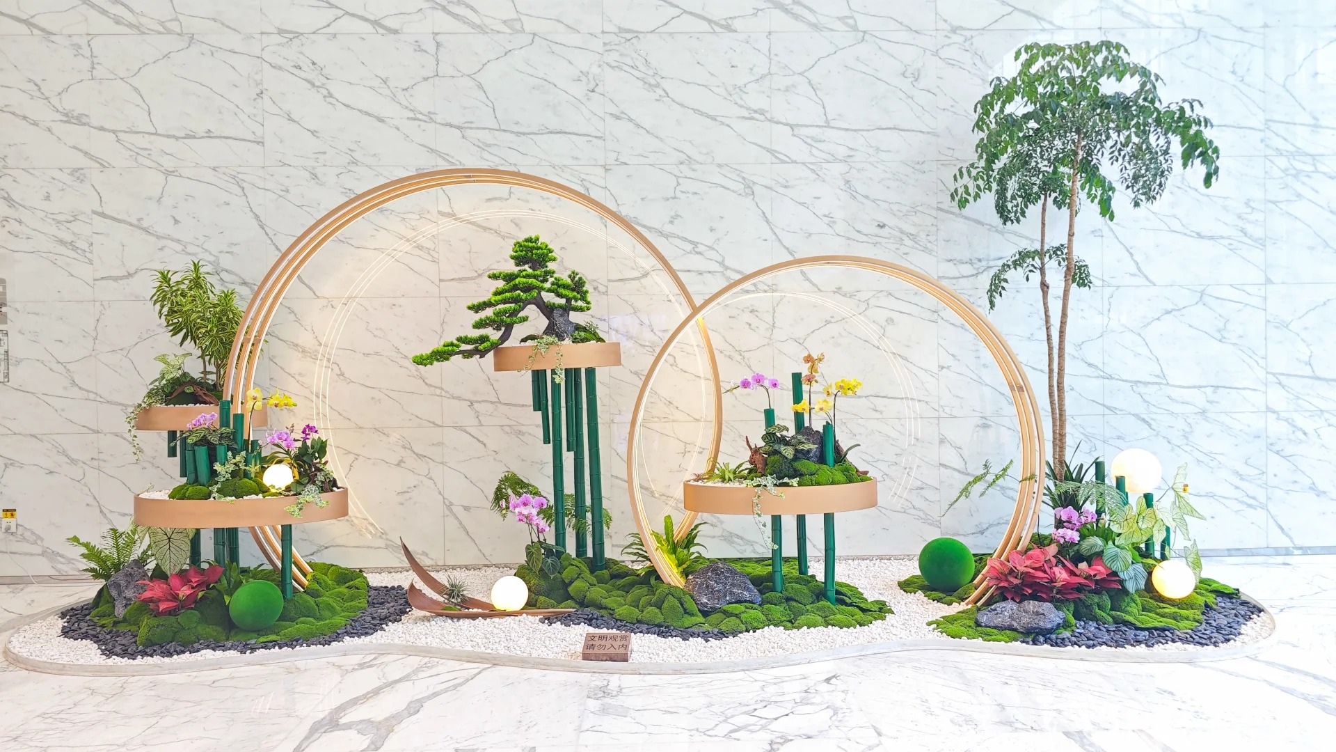 了解宁波前湾绿化养护公司，开启绿色家园新篇章